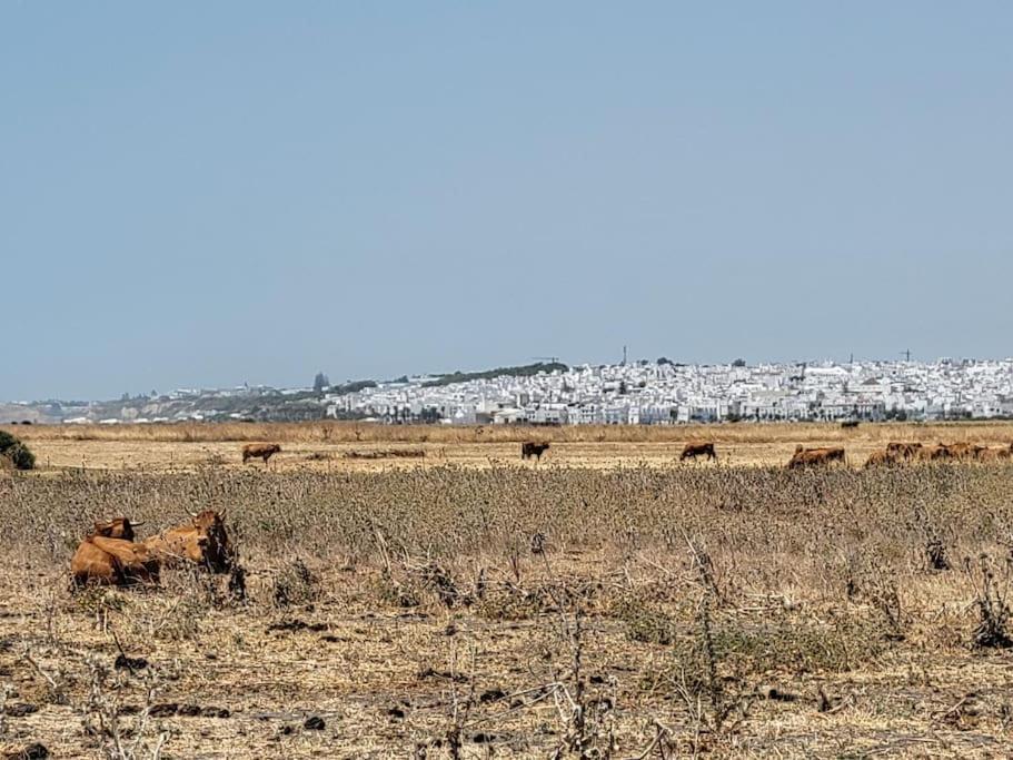 הוילה אל פלמאר Casa Nordica Cerca Del Mar מראה חיצוני תמונה